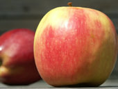 Apples