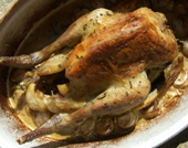 Guinea fowl