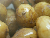 Jersey Royal new potatoes