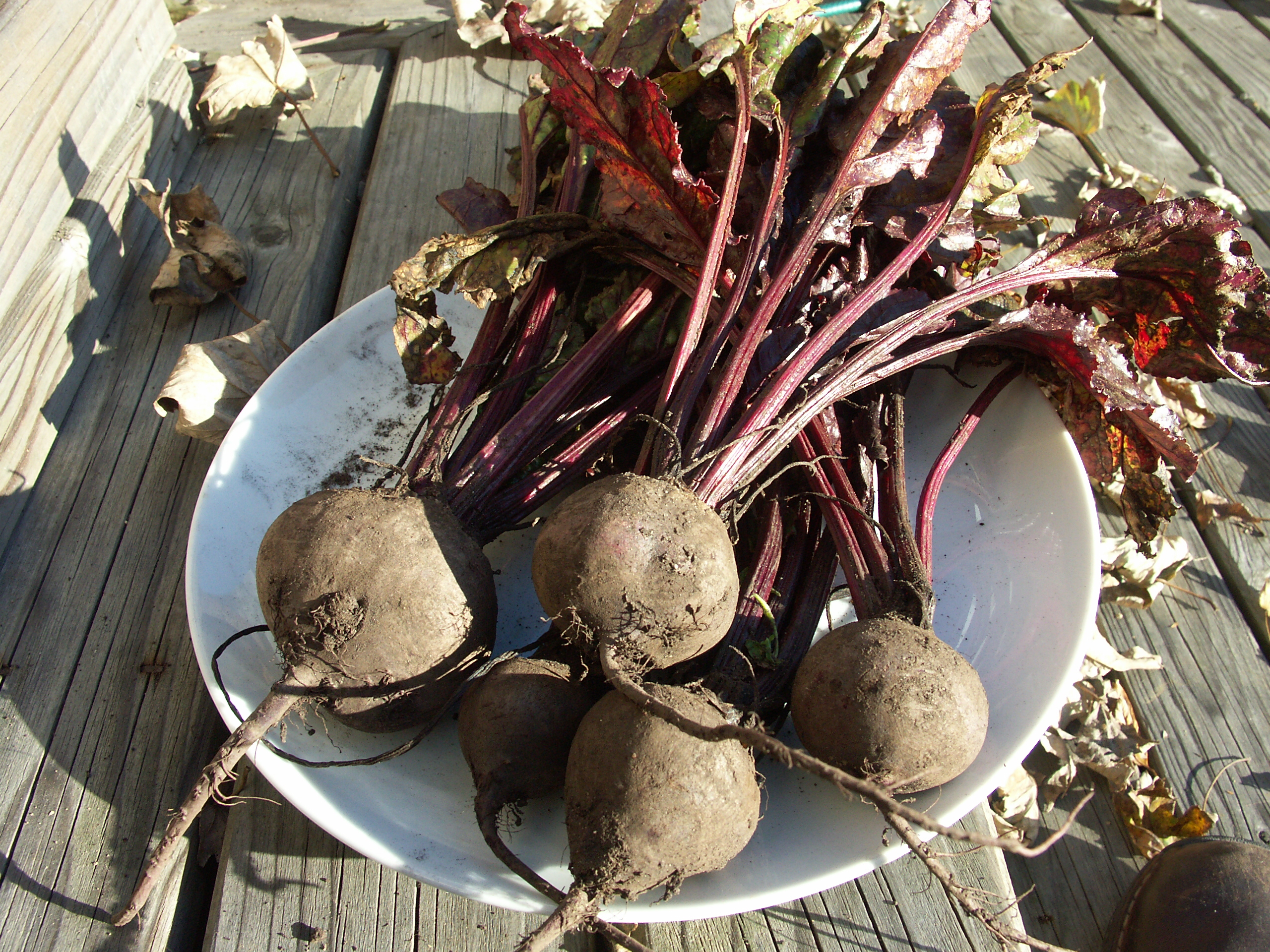 An image of beetroot