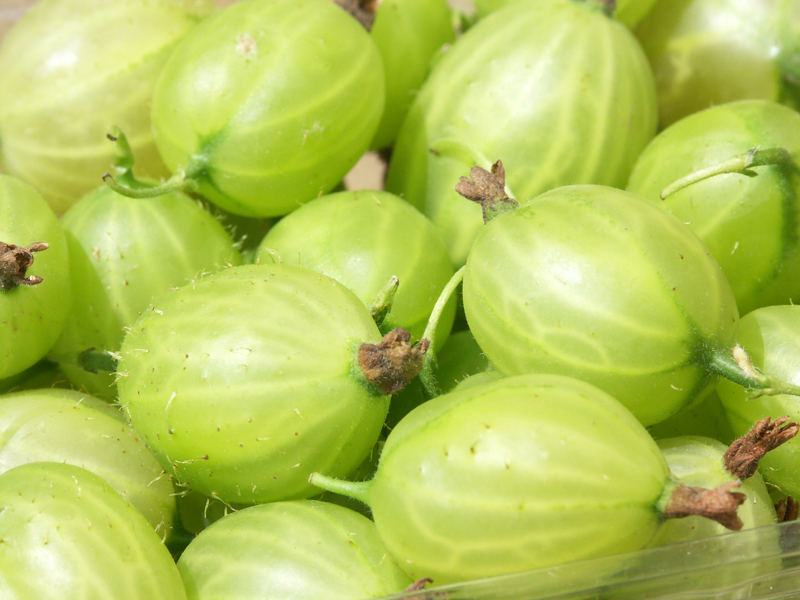 An image of gooseberries