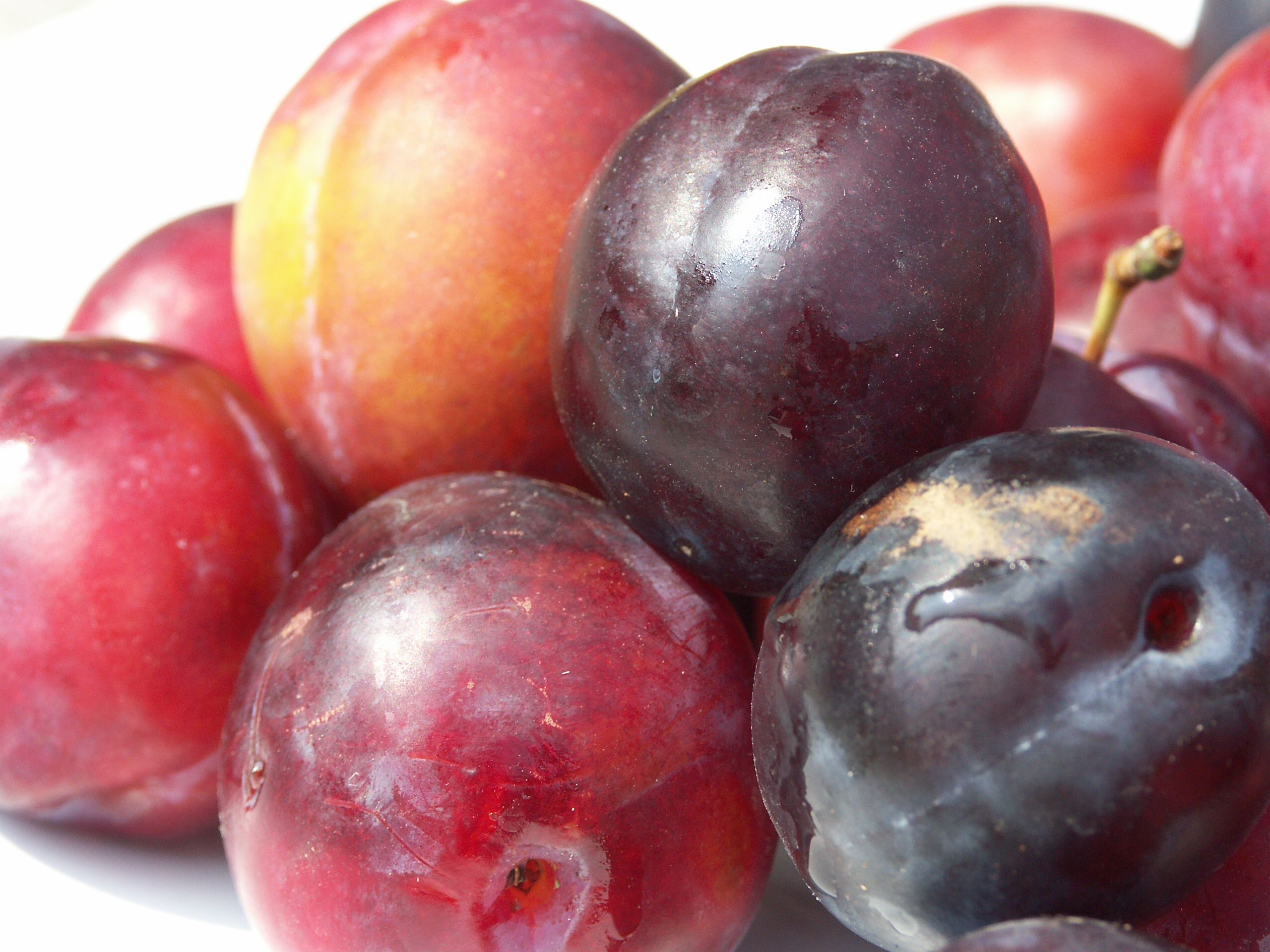 An image of plums waiting to load